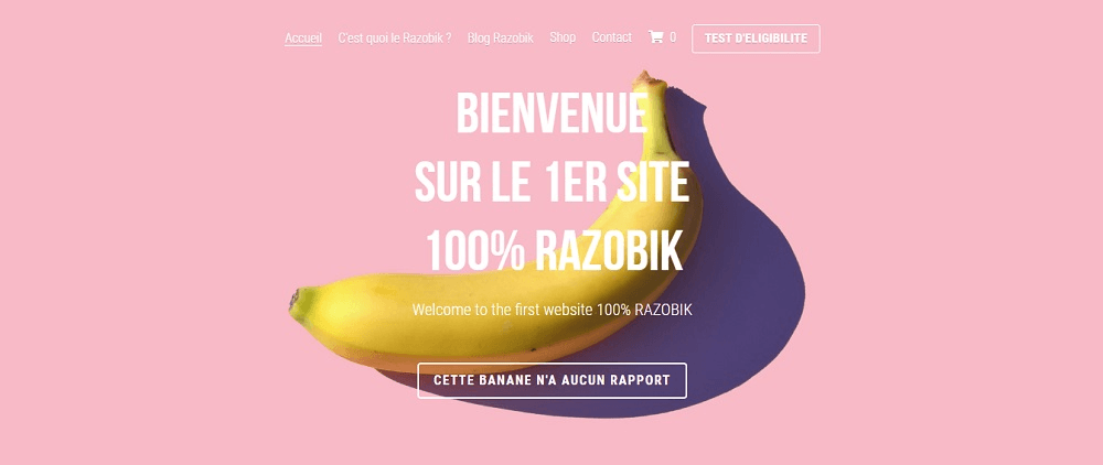 Présentation Razobik Présentation Razobik